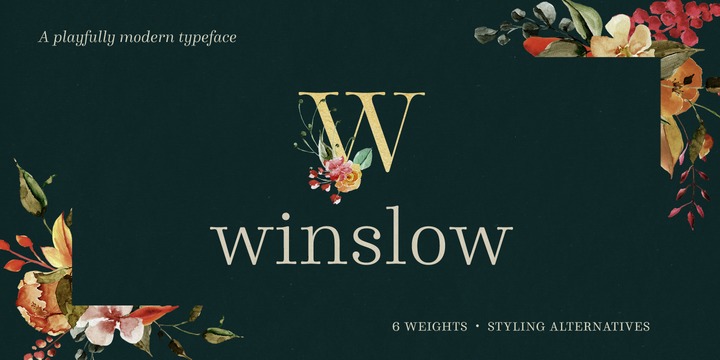 Winslow Book Font
