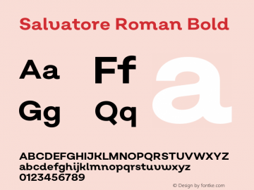 Salvatore Roman Font