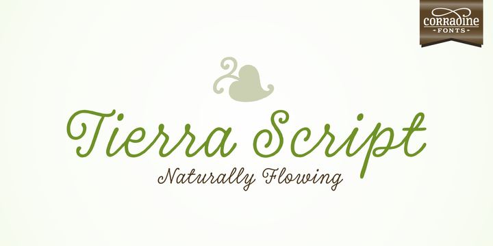 Tierra Script Font