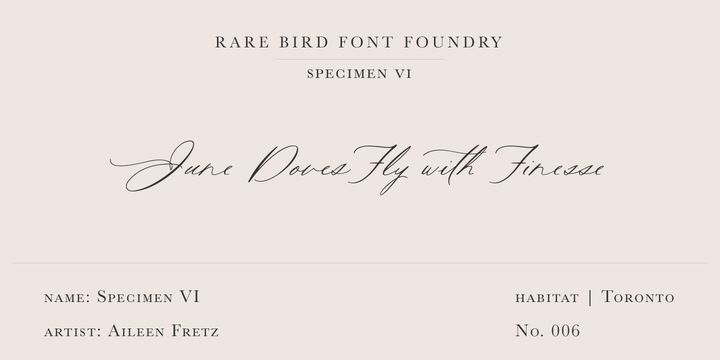 Rare Bird Specimen VI Font