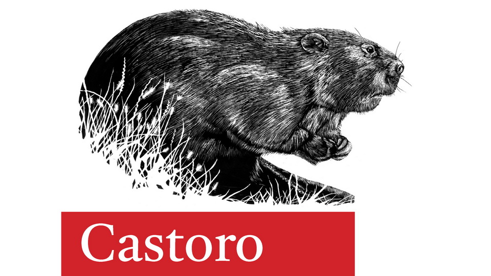Castoro Font