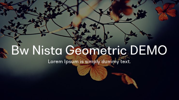 Bw Nista Geometric Font