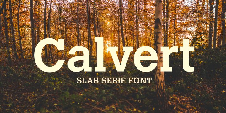 Calvert Font