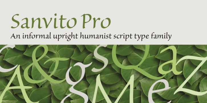 Sanvito Pro Font