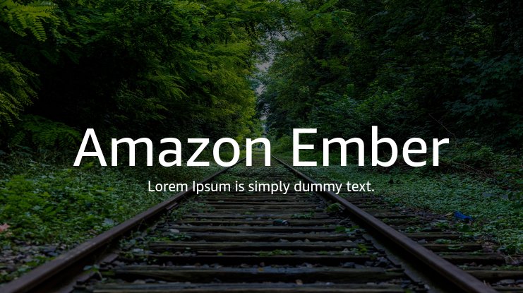 Amazon Ember V2 Font