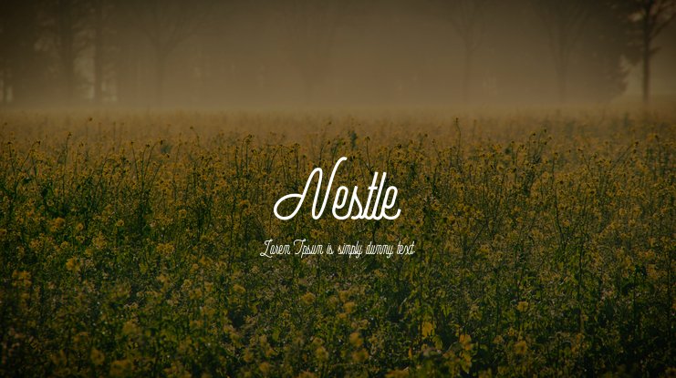 Nestle Script Office EUR Font