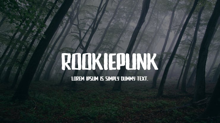 Rookie Punk Font