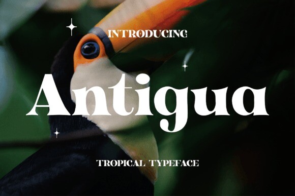 Antigua Font