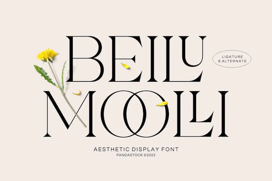 Beilu Mooli font preview image #1