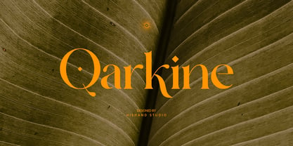 Qarkine font preview image #3