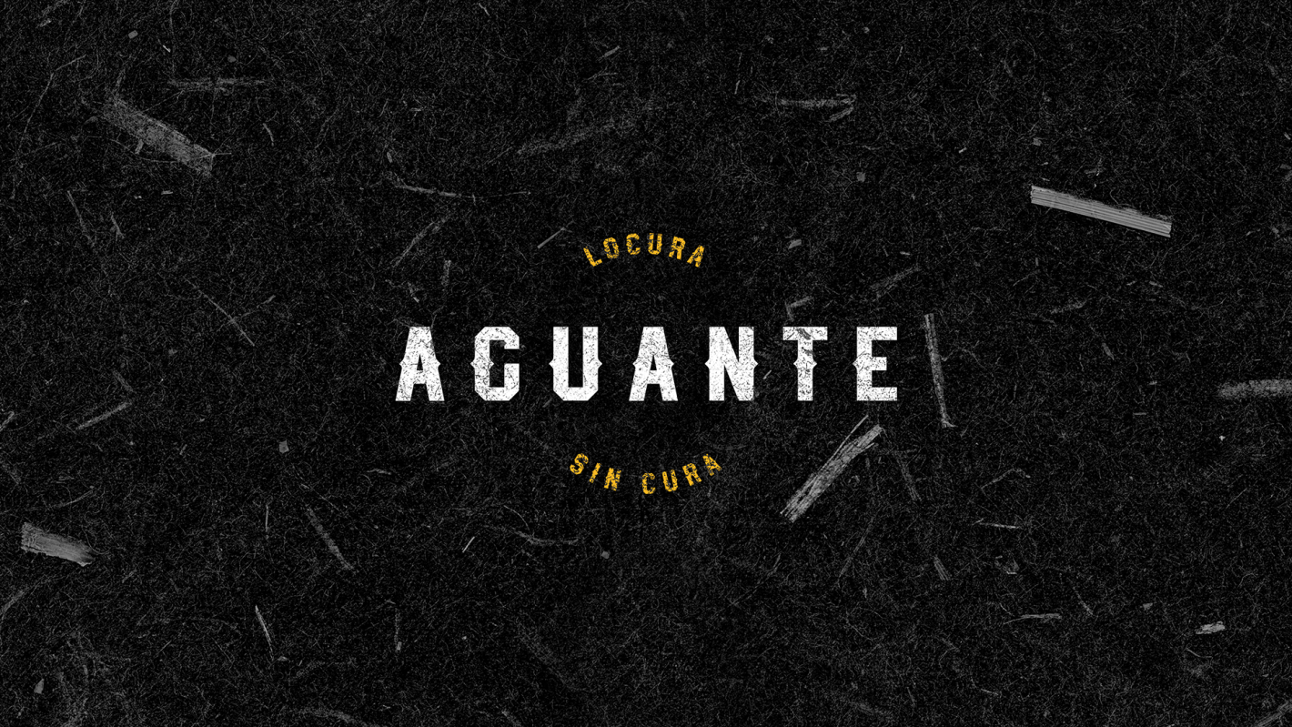 AGUANTE font preview image #3