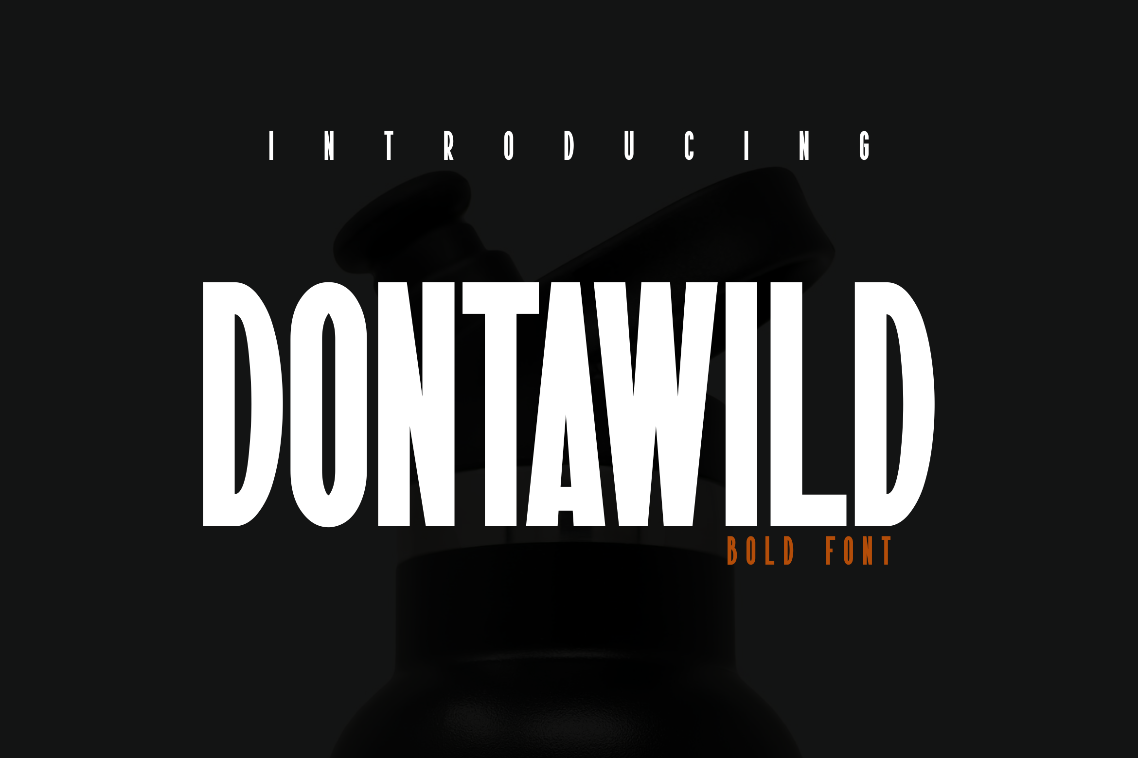 Dontawild font preview image #1