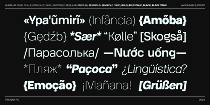 Guaruja Neue font preview image #5