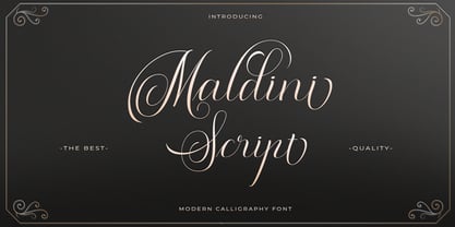 Maldini Script font preview image #5