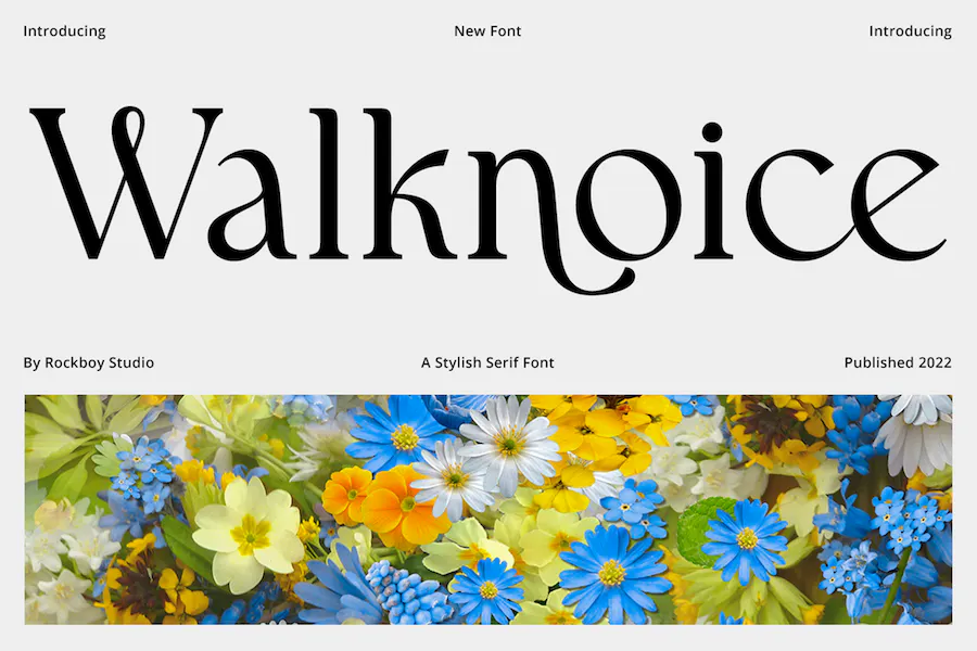 Walknoice font preview image #1