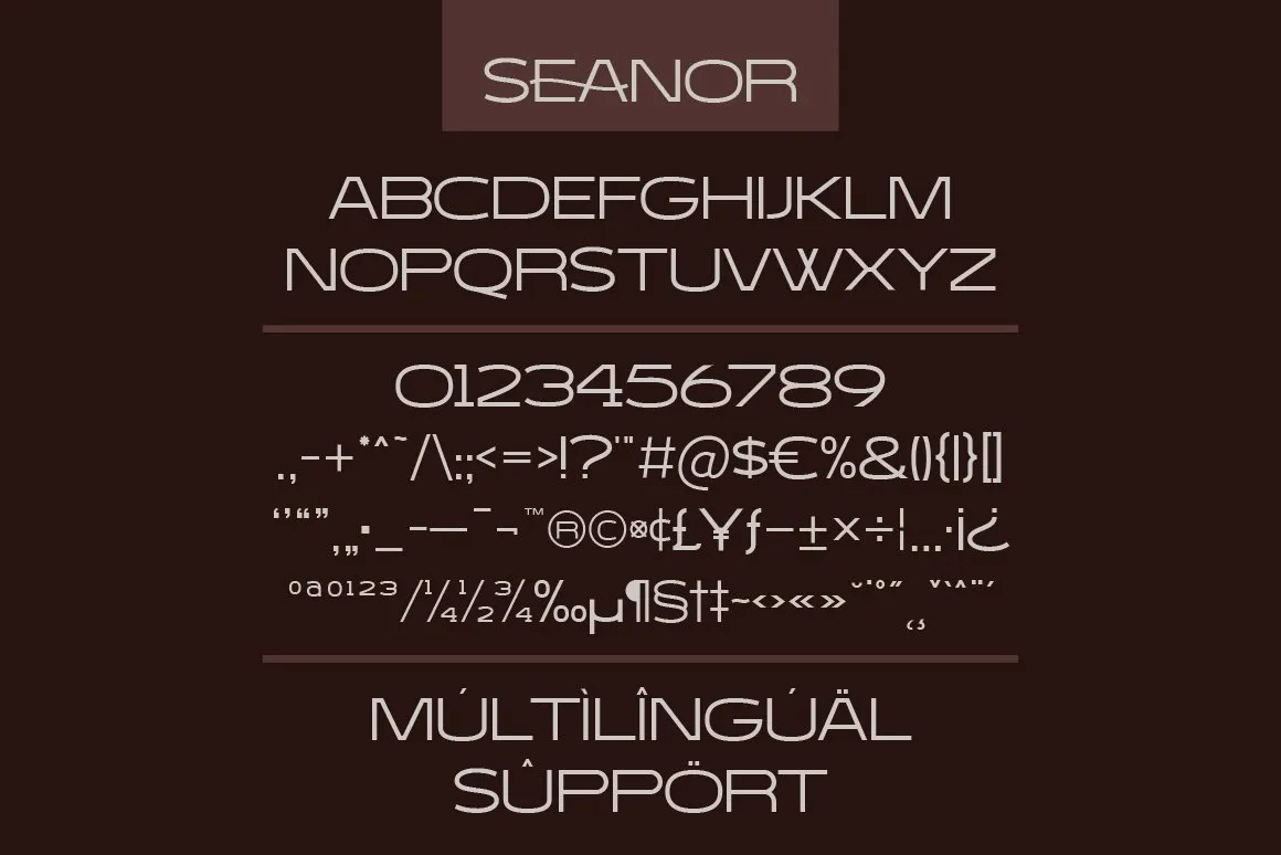 Seanor font preview image #2