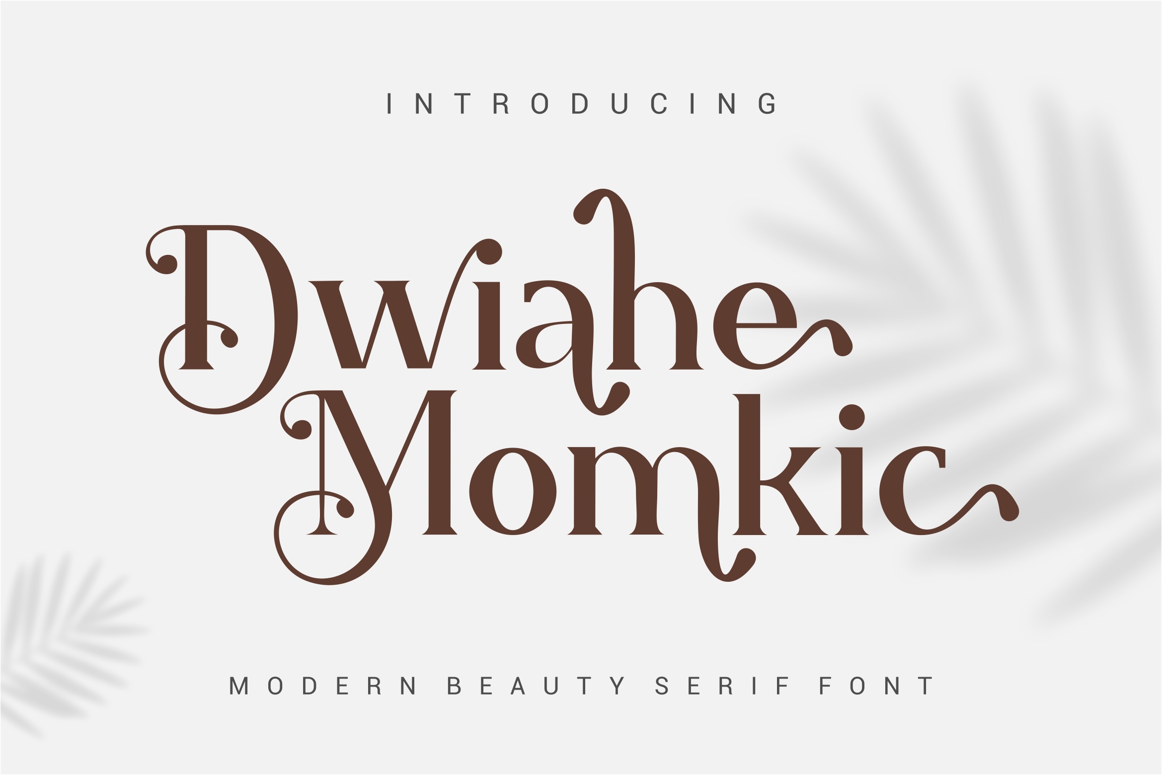Dwiahe Momkic font preview image #3
