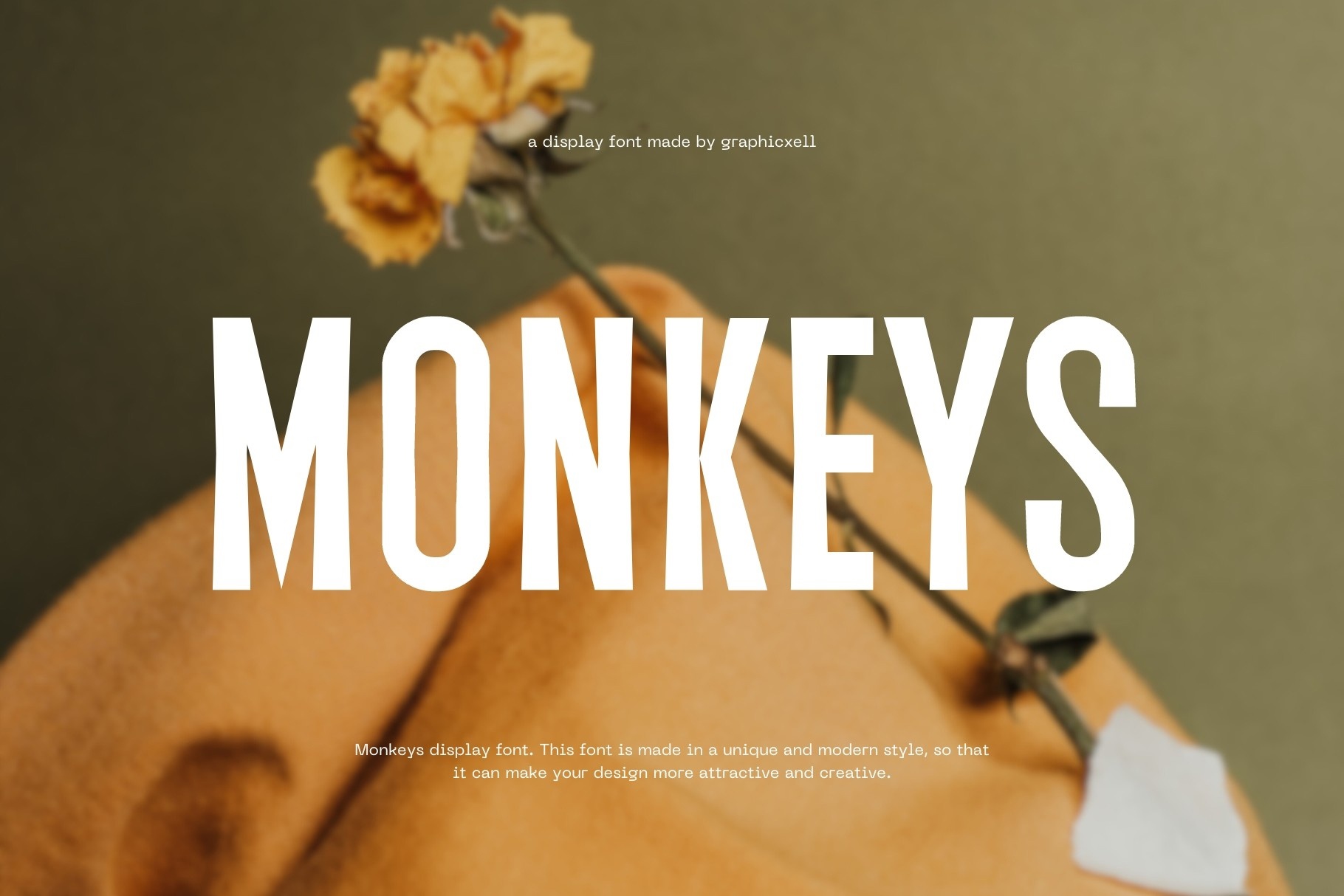 Monkeys Font
