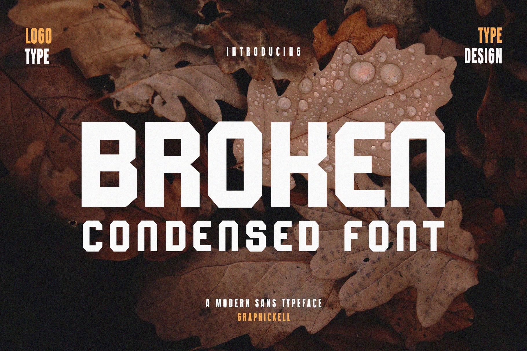 Broken font preview image #2