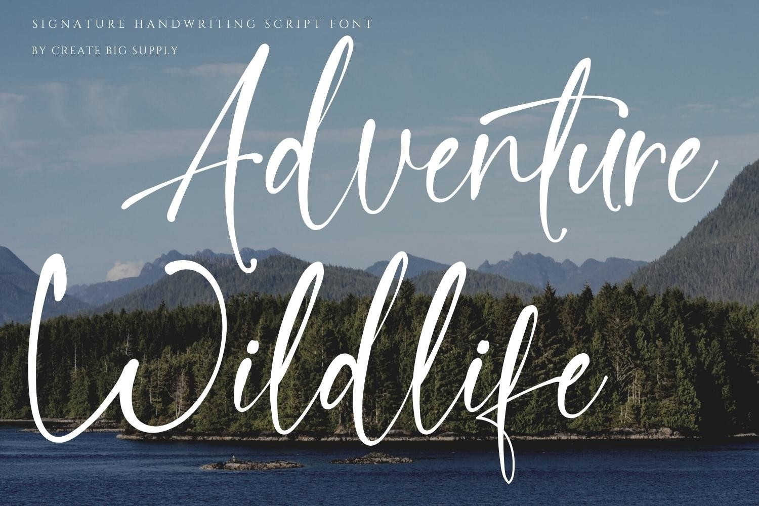 Quillia font preview image #2