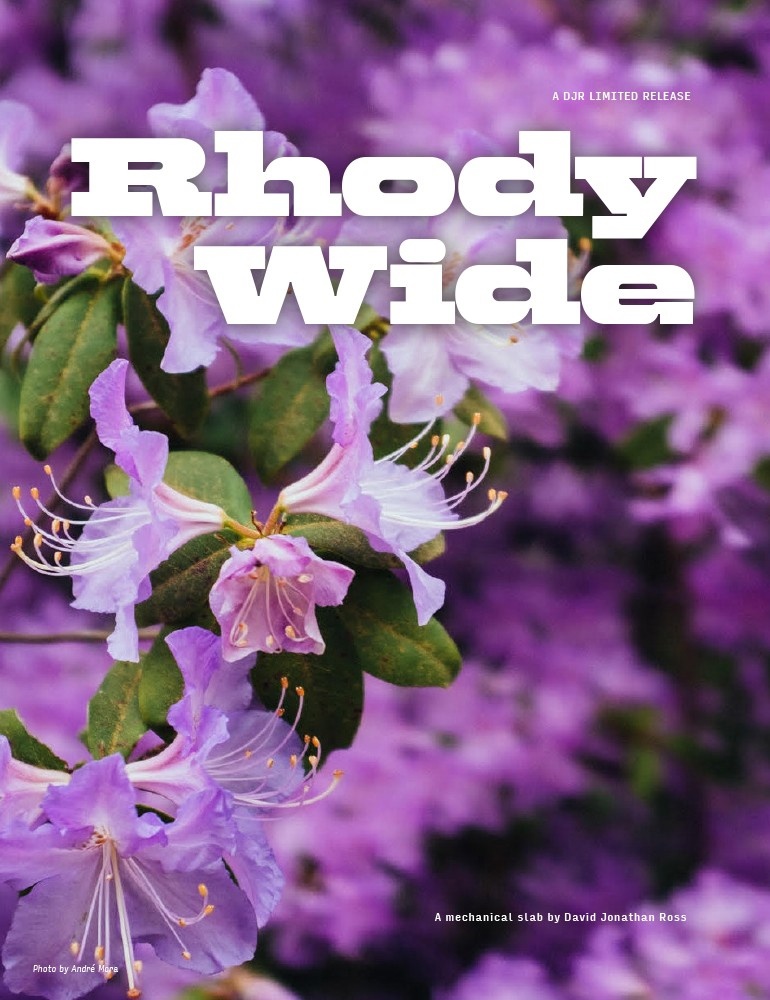 Rhody Wide font preview image #2