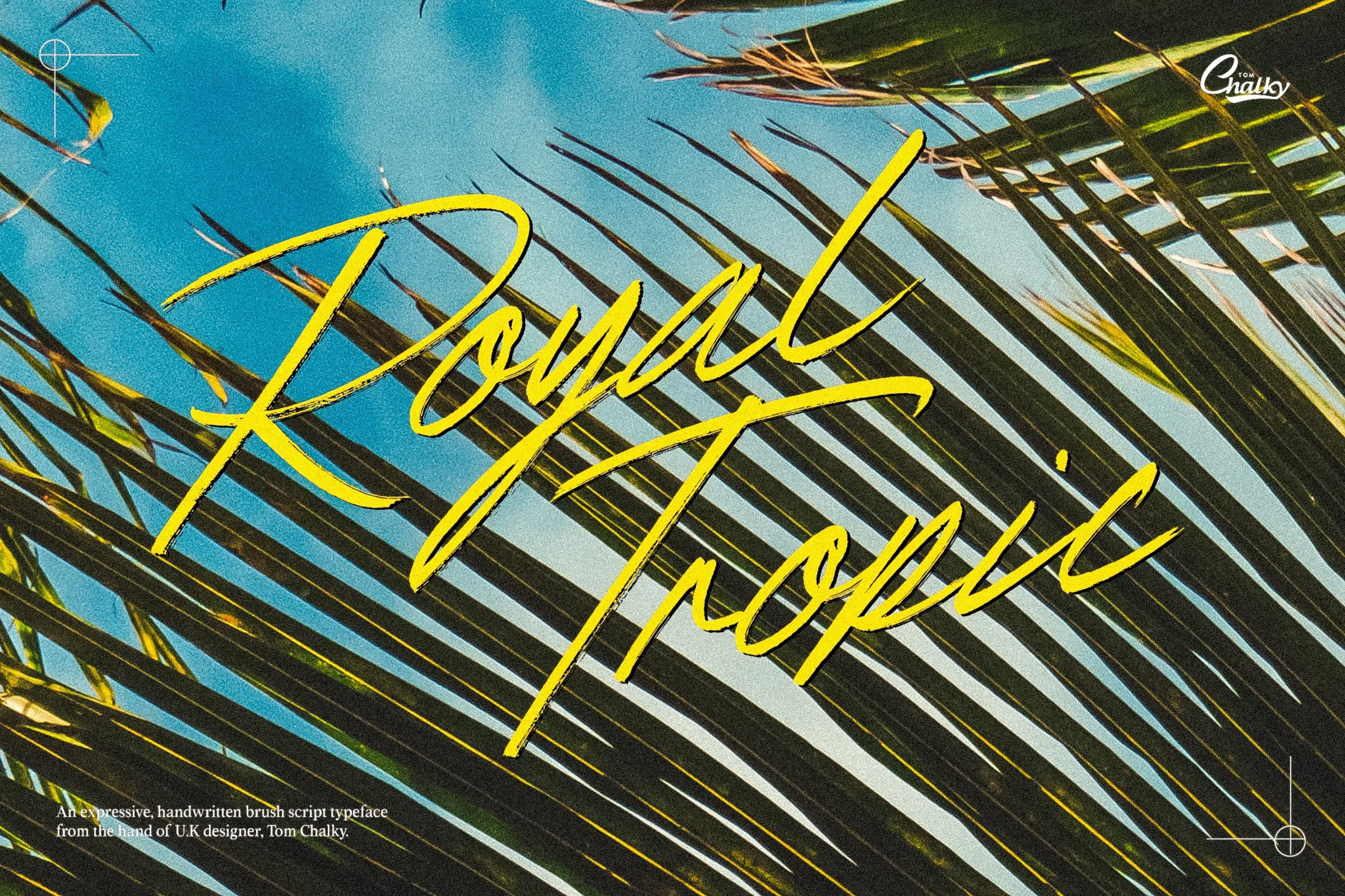 Royal Tropic font preview image #5