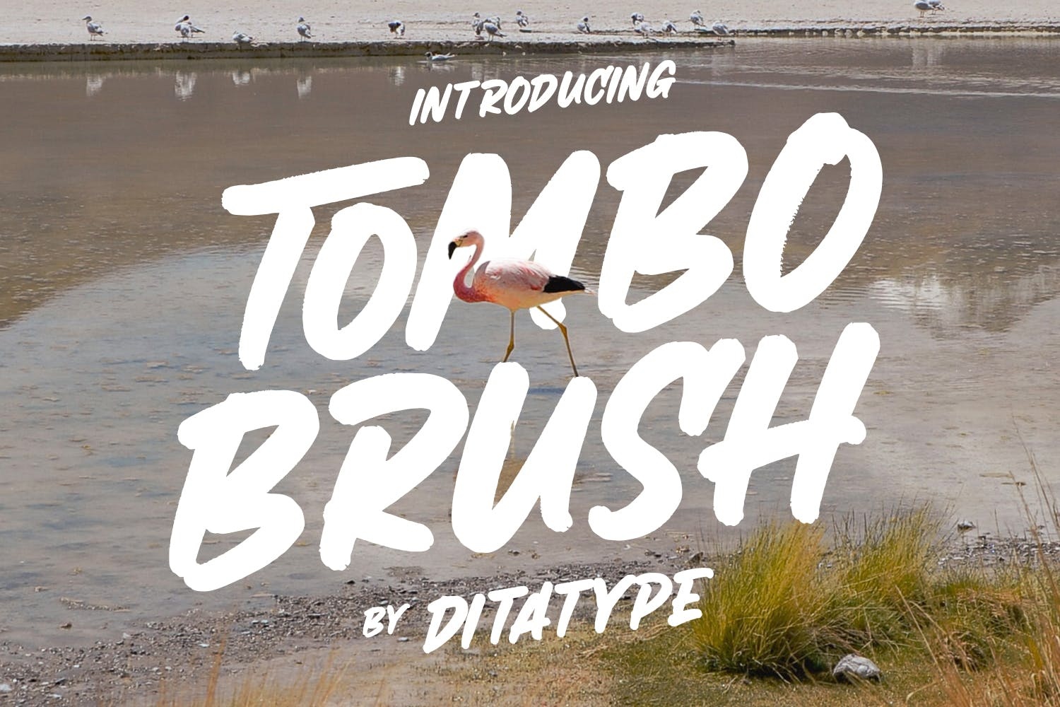 Tombo Brush Font