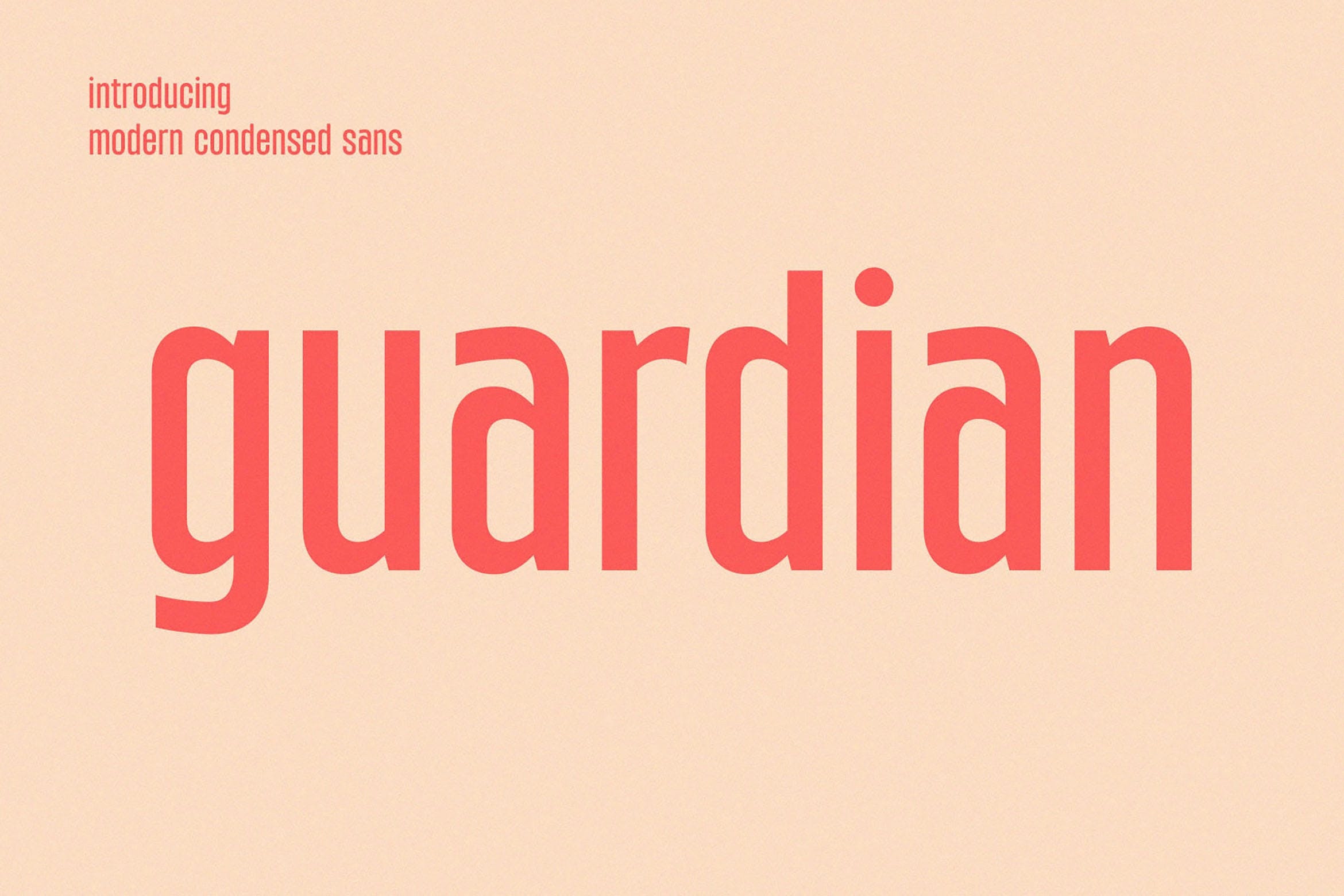Guardian Font