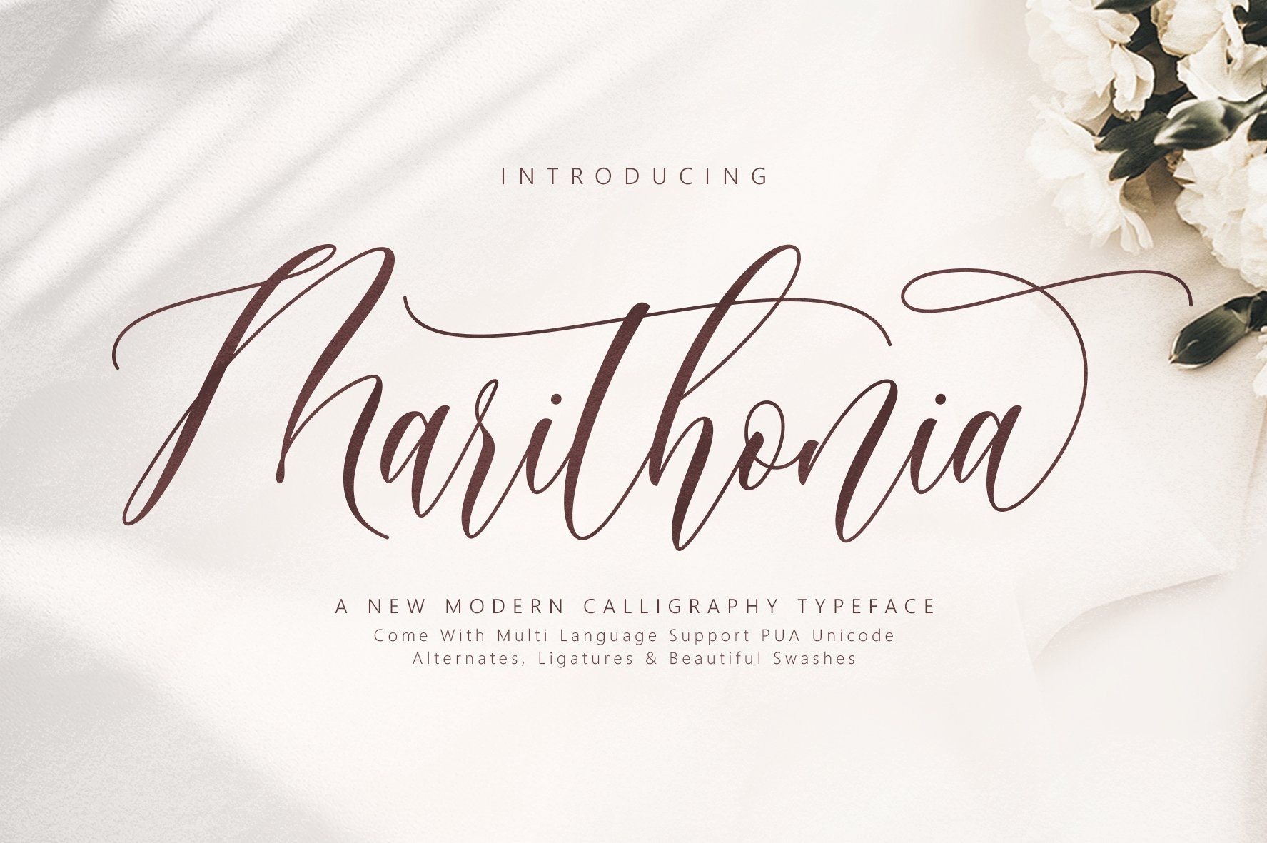 Marithonia Script Font