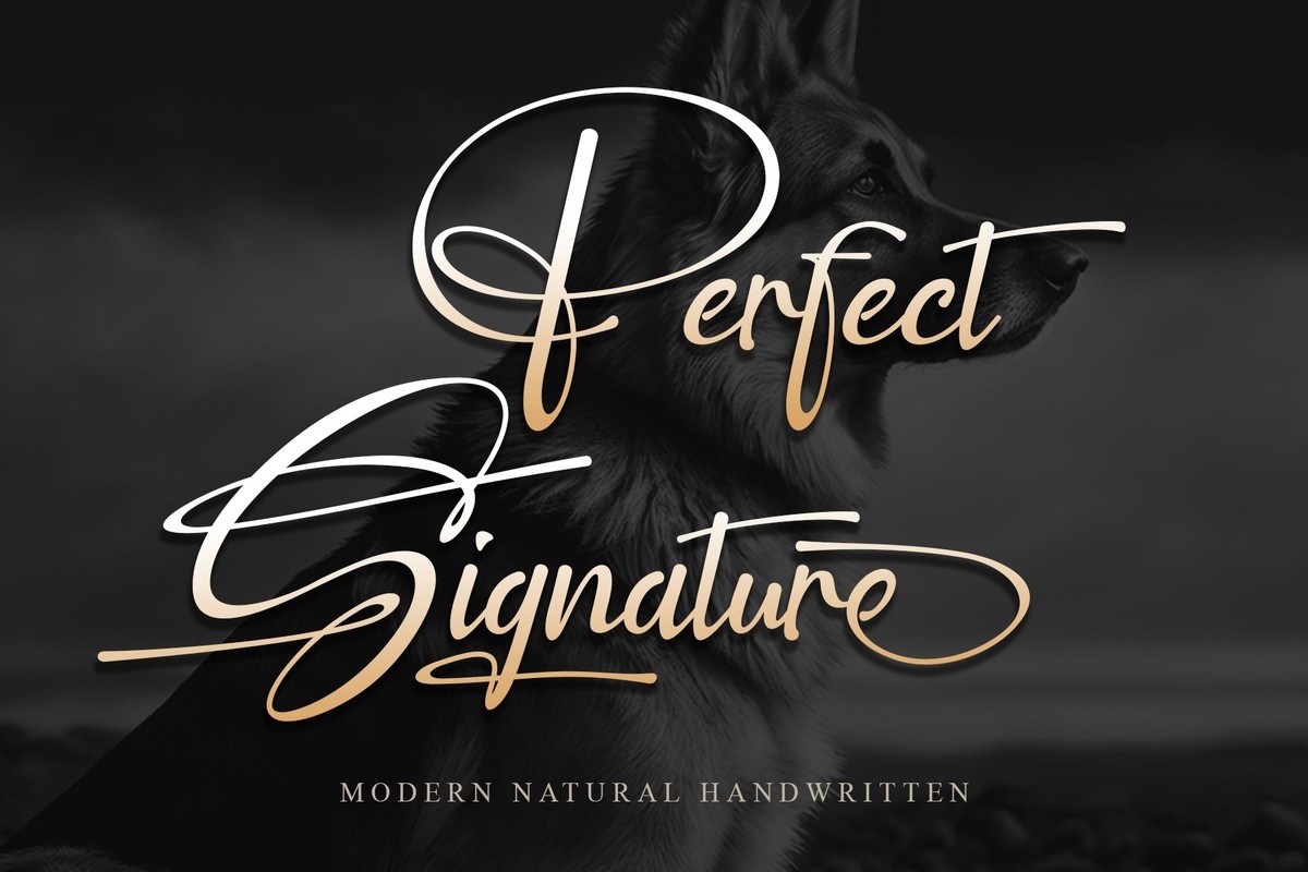 Perfect Signature Font