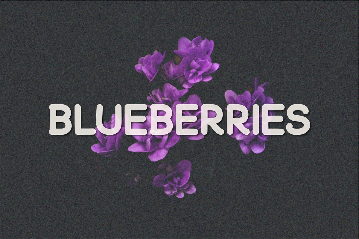 Blueberries Font
