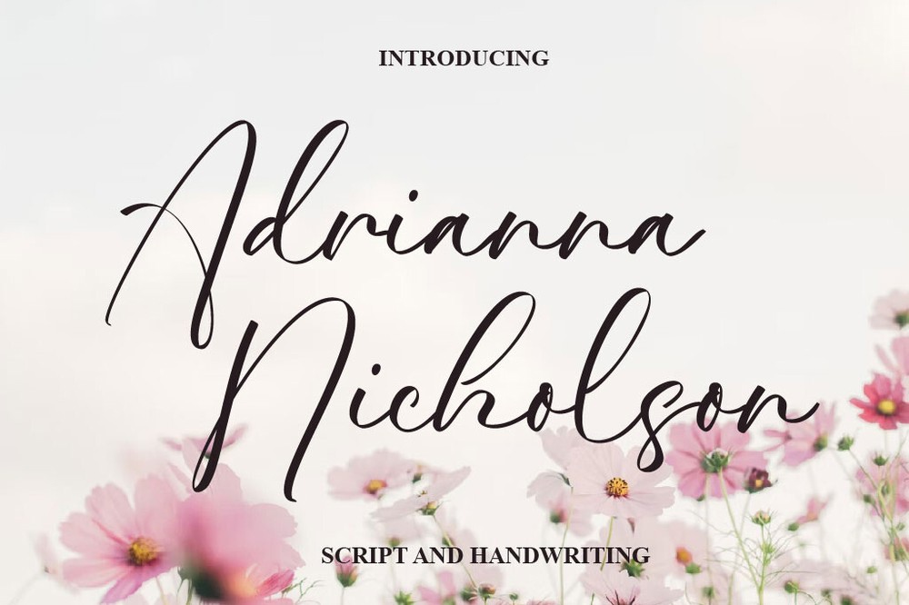Adrianna Nicholson Font