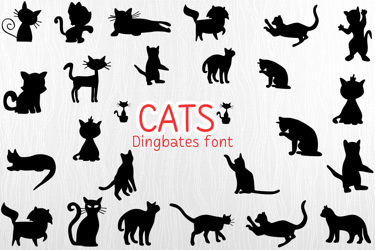 Cats Font