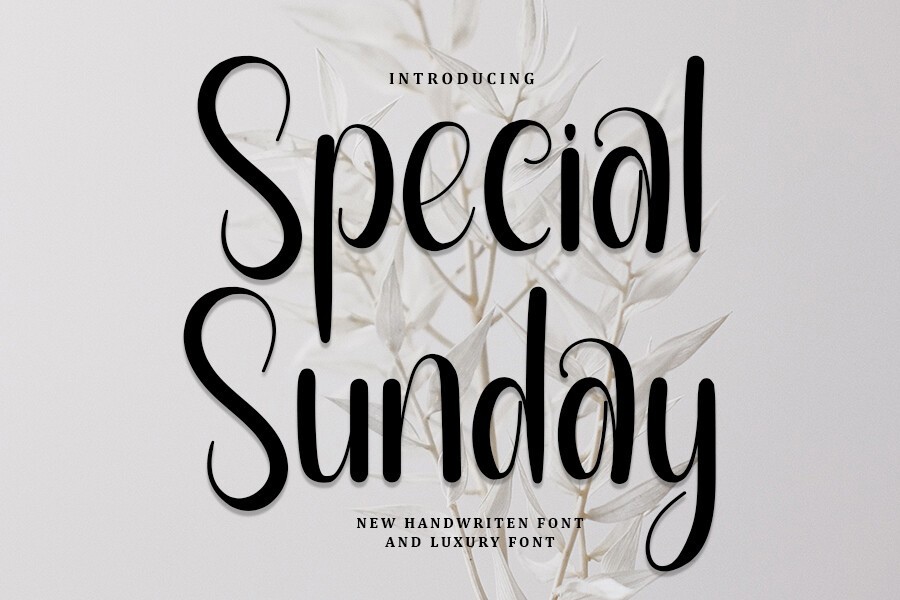 Special Sunday Font