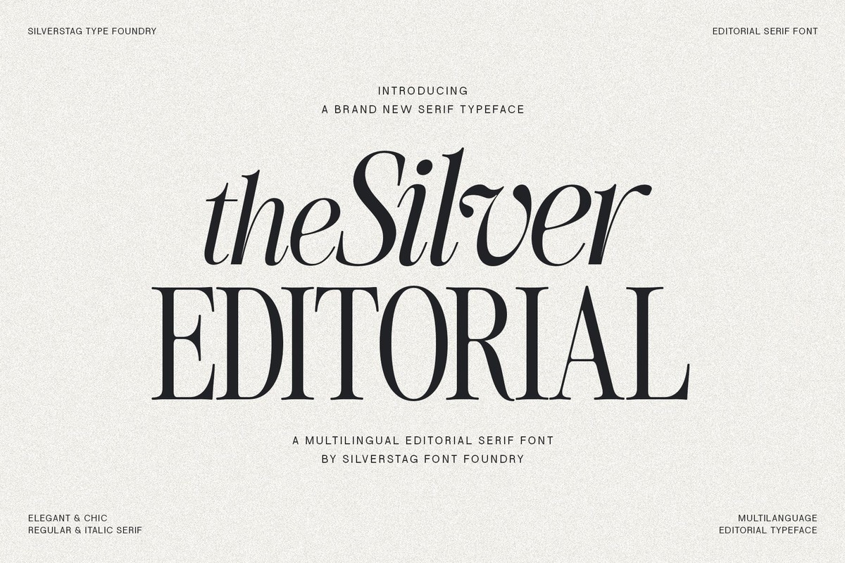 The Silver Editorial Font