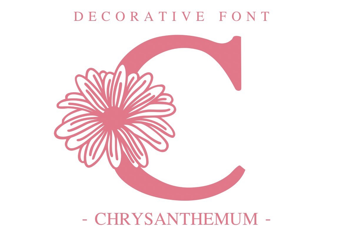 Chrysanthemum Font