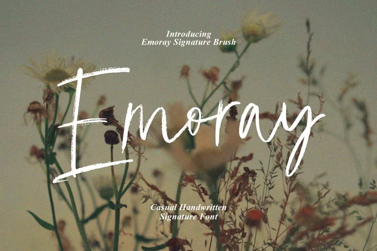 Emoray Signature Brush Font