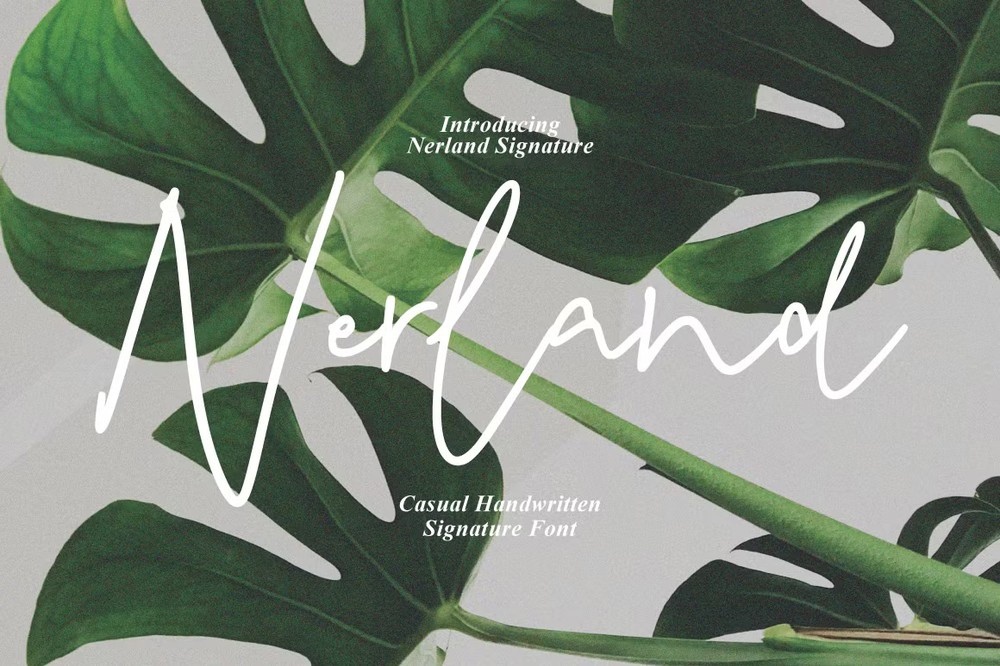 Nerland Signature Font