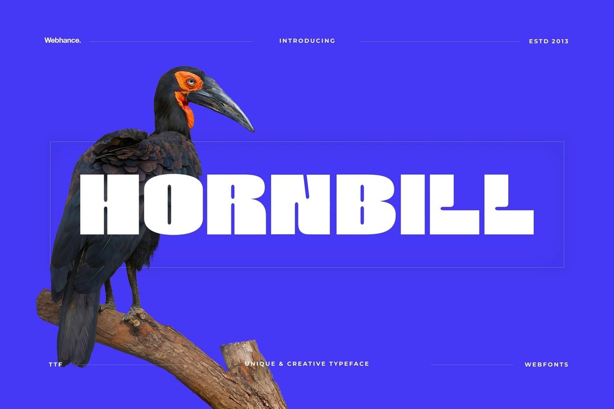 Hornbill Display Bold Font