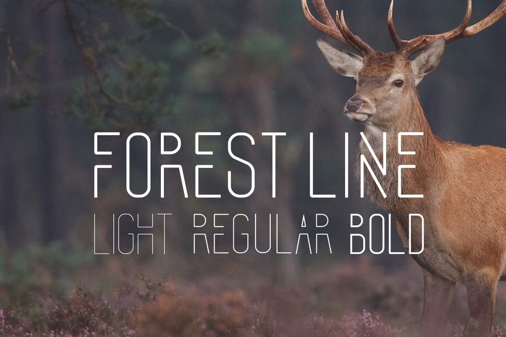 Forest Line Font