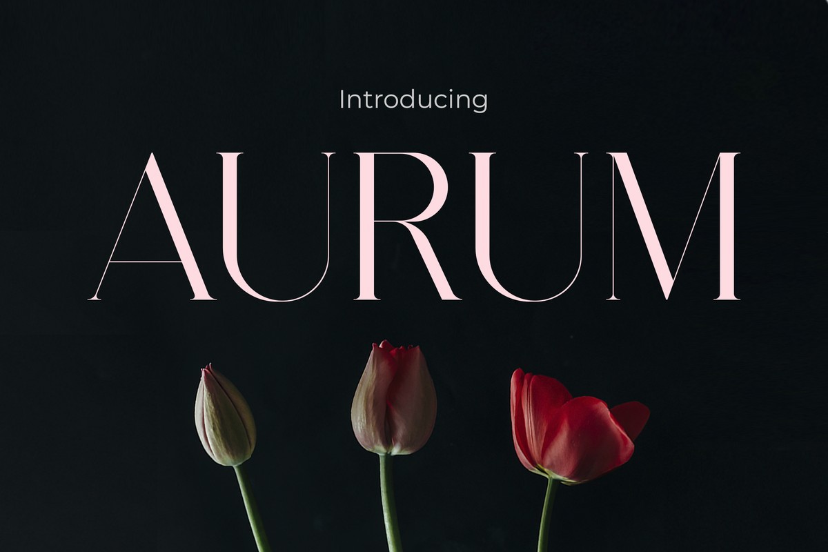 Aurum Font