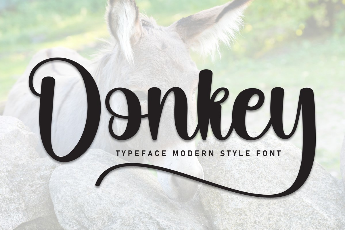 Donkey Font