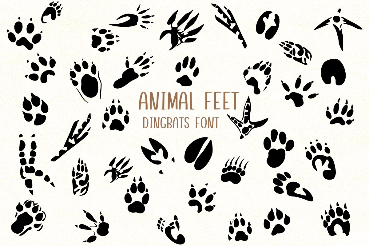 Animal Feet Font