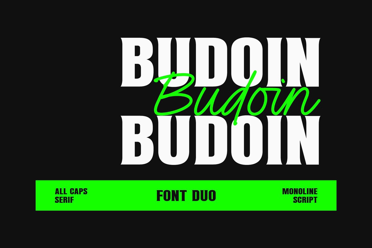 Budoin Font