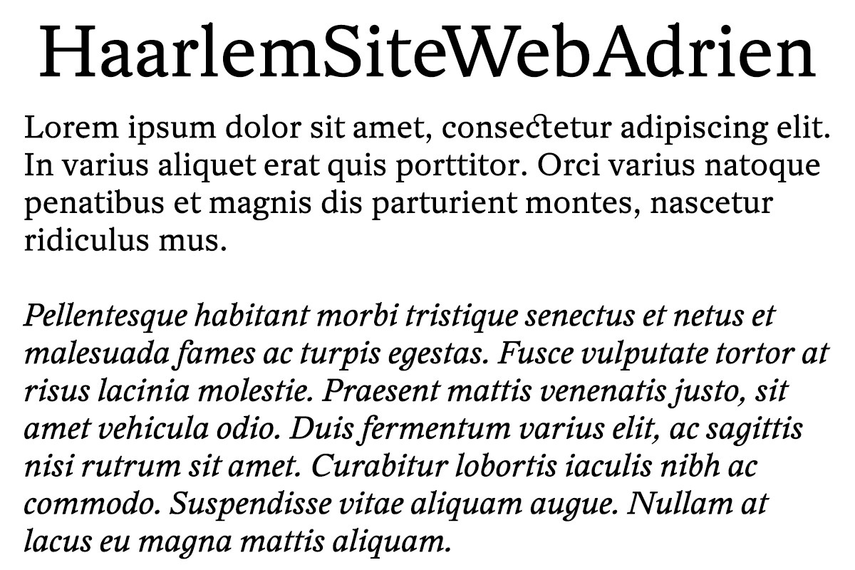 HaarlemSiteWebAdrien Font