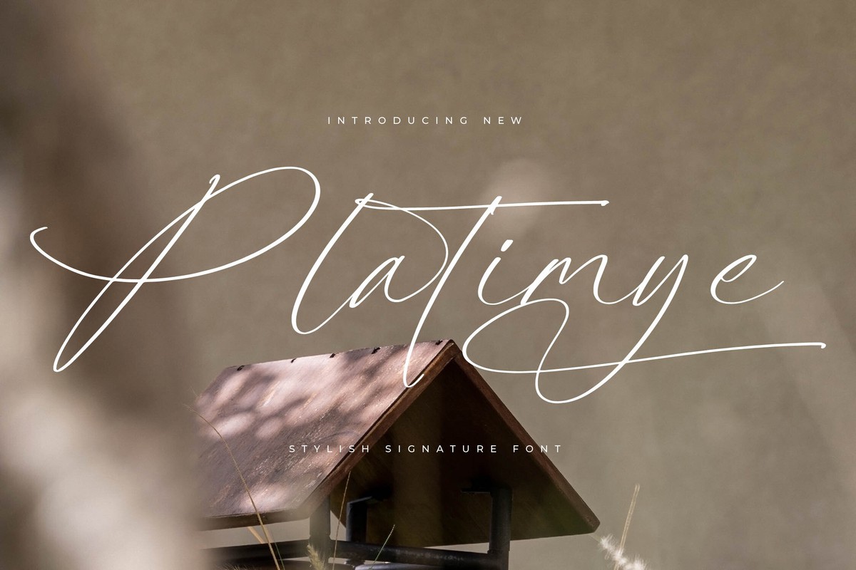 Platimye Font