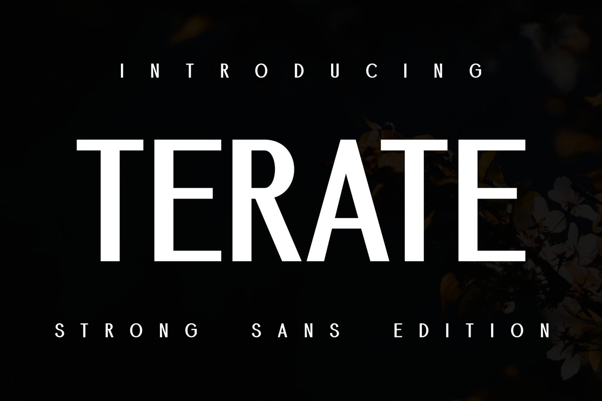 Demore Terate Font