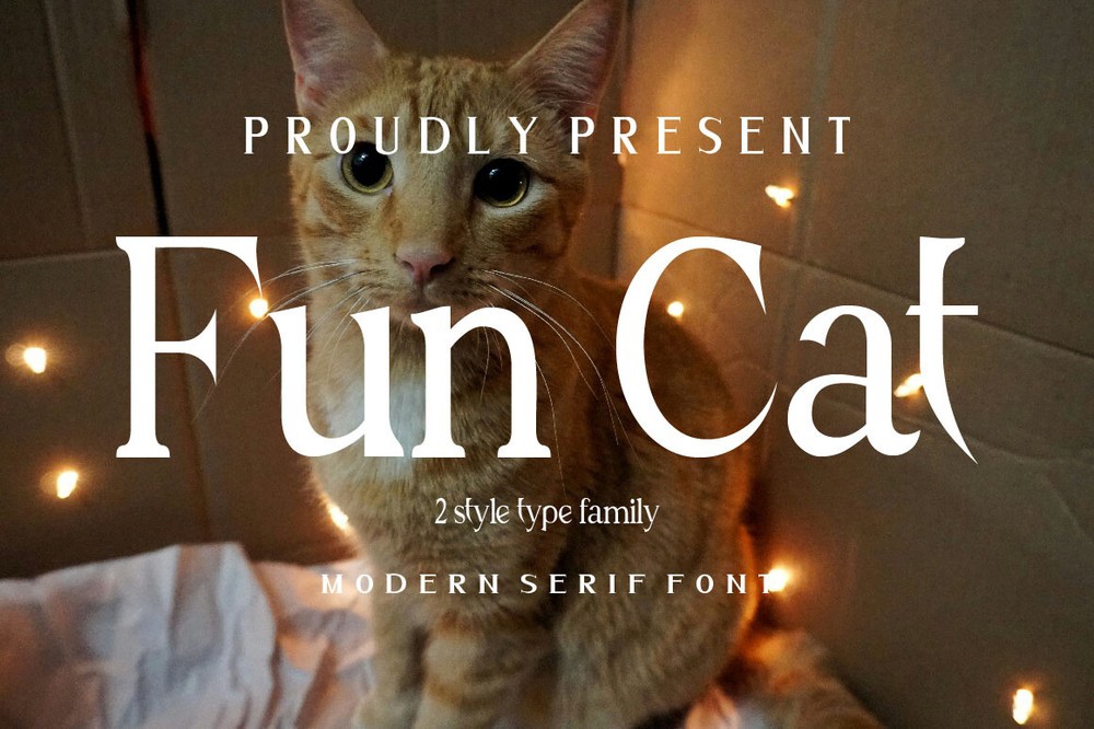 Fun Cat Font