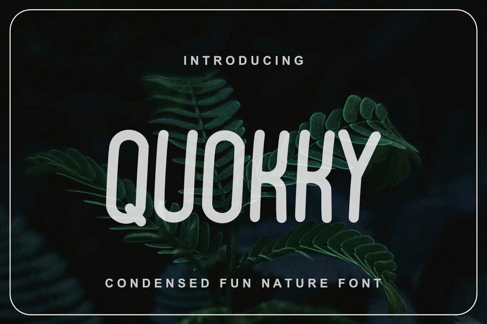 Quokky Font