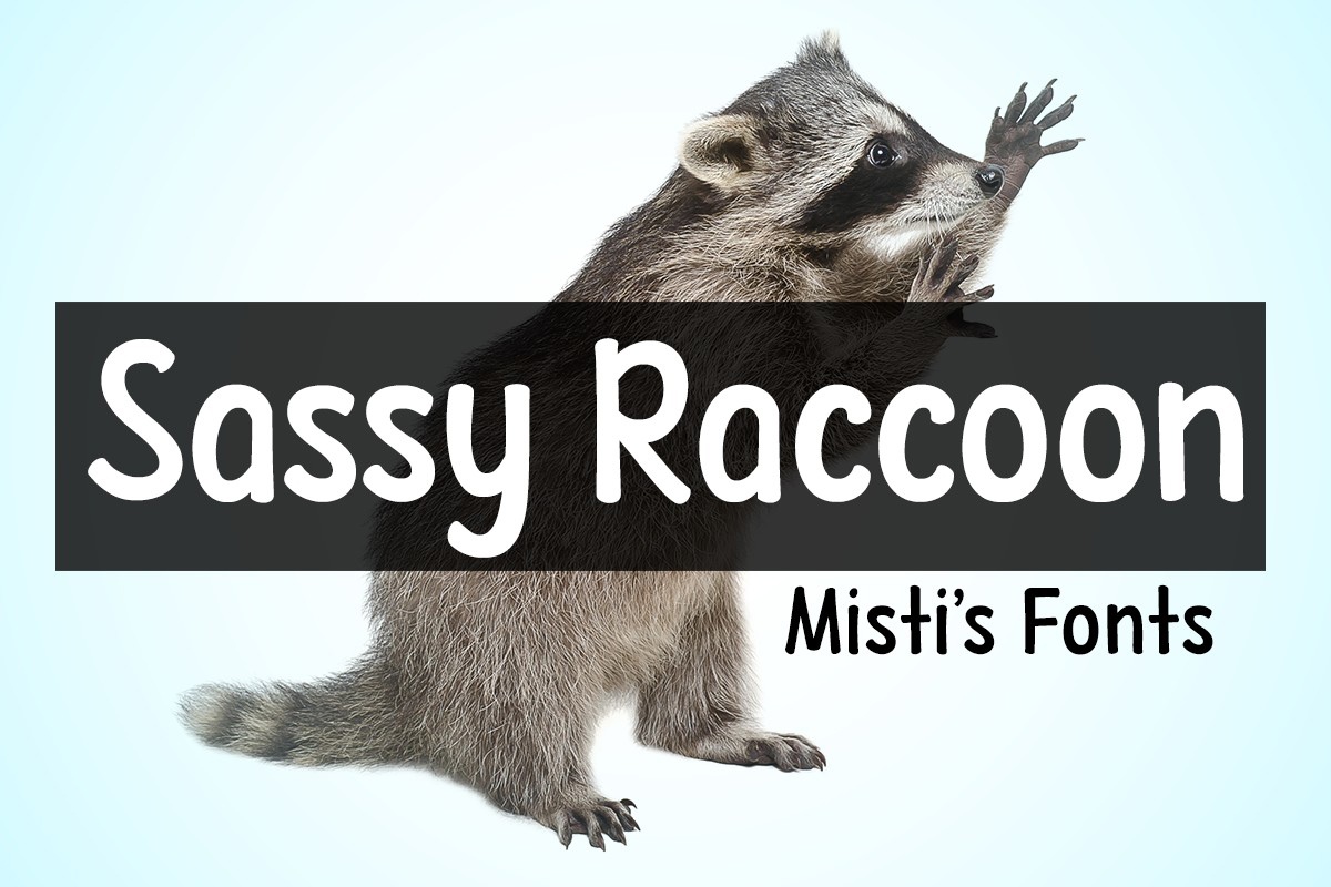 Sassy Raccoon Font